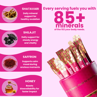 Honnelys She-Lajit Honey Sticks 1 PACK