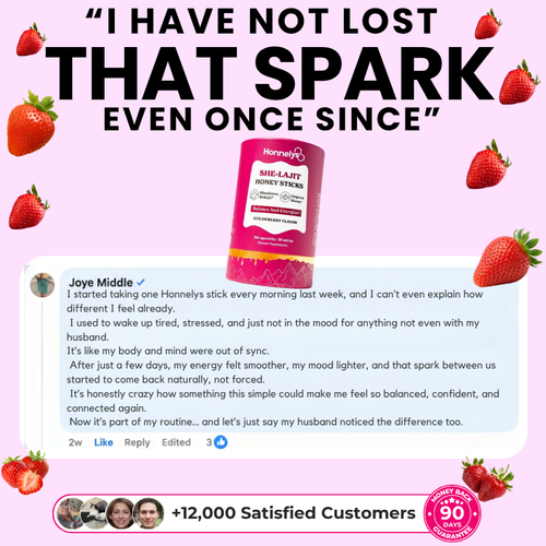 Honnelys She-Lajit Honey Sticks 1 PACK