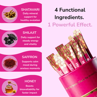 Honnelys She-Lajit Honey Sticks 1 PACK