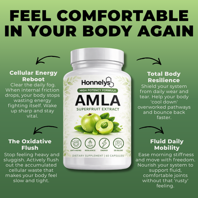 AMLA SUPERFRUIT EXTRACT - PREMIUM CAPSULES
