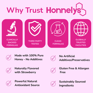 Honnelys She-Lajit Honey Sticks 1 PACK