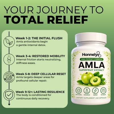 AMLA SUPERFRUIT EXTRACT - PREMIUM CAPSULES