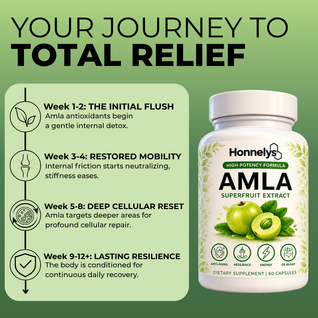 AMLA SUPERFRUIT EXTRACT - PREMIUM CAPSULES